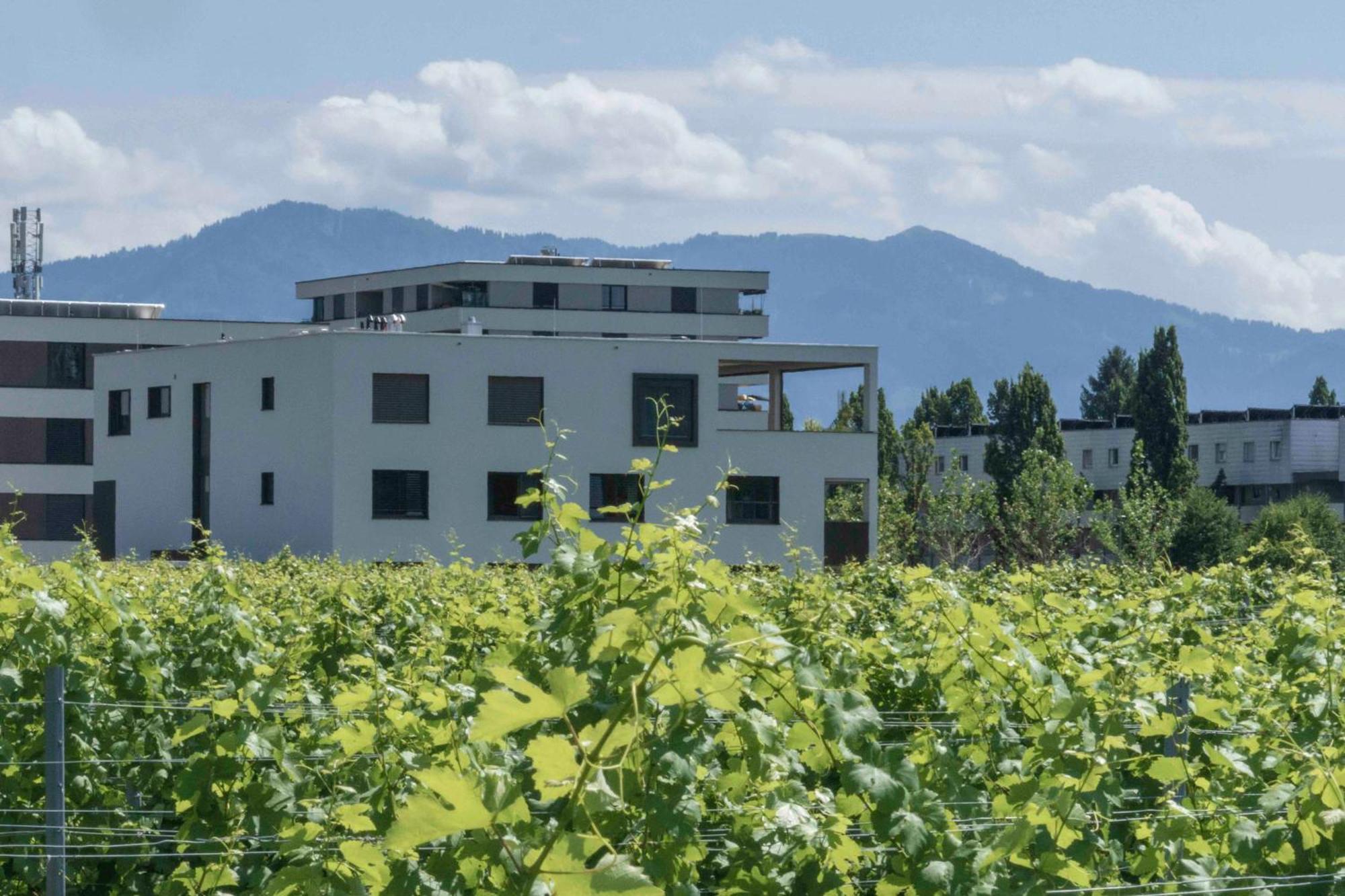 Welcome 73M2 Ferienwohnung 10 Min. Zum Bodensee Bregenz Exterior photo
